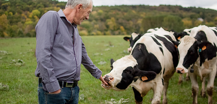 Un producteur agricole dans un champ verdoyant avec deux vaches laitières