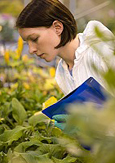 Photo of a woman in a lab coat inspecting plants in a greenhouse