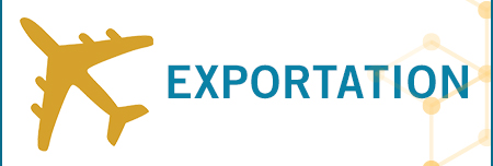 Illustration : Logo IQ et le mot Exportation