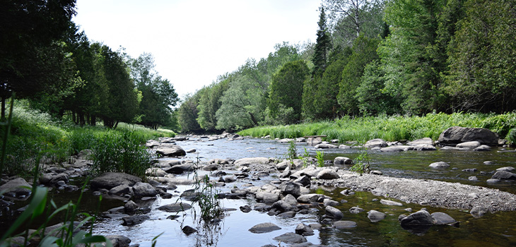 Photo d'une rivière prise dans le Parc de la Yamaska