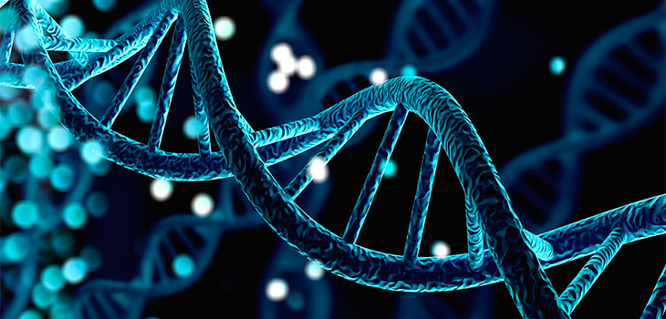 Structure de l'ADN humain de l'hélice bleue