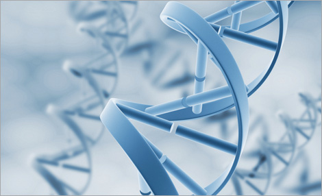 Image stylisée d'une spirale d'ADN