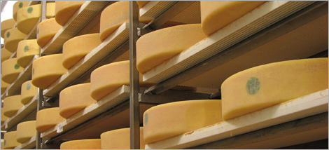 Photo de meules de fromage de la Laiterie Charlevoix sur un distributeur.