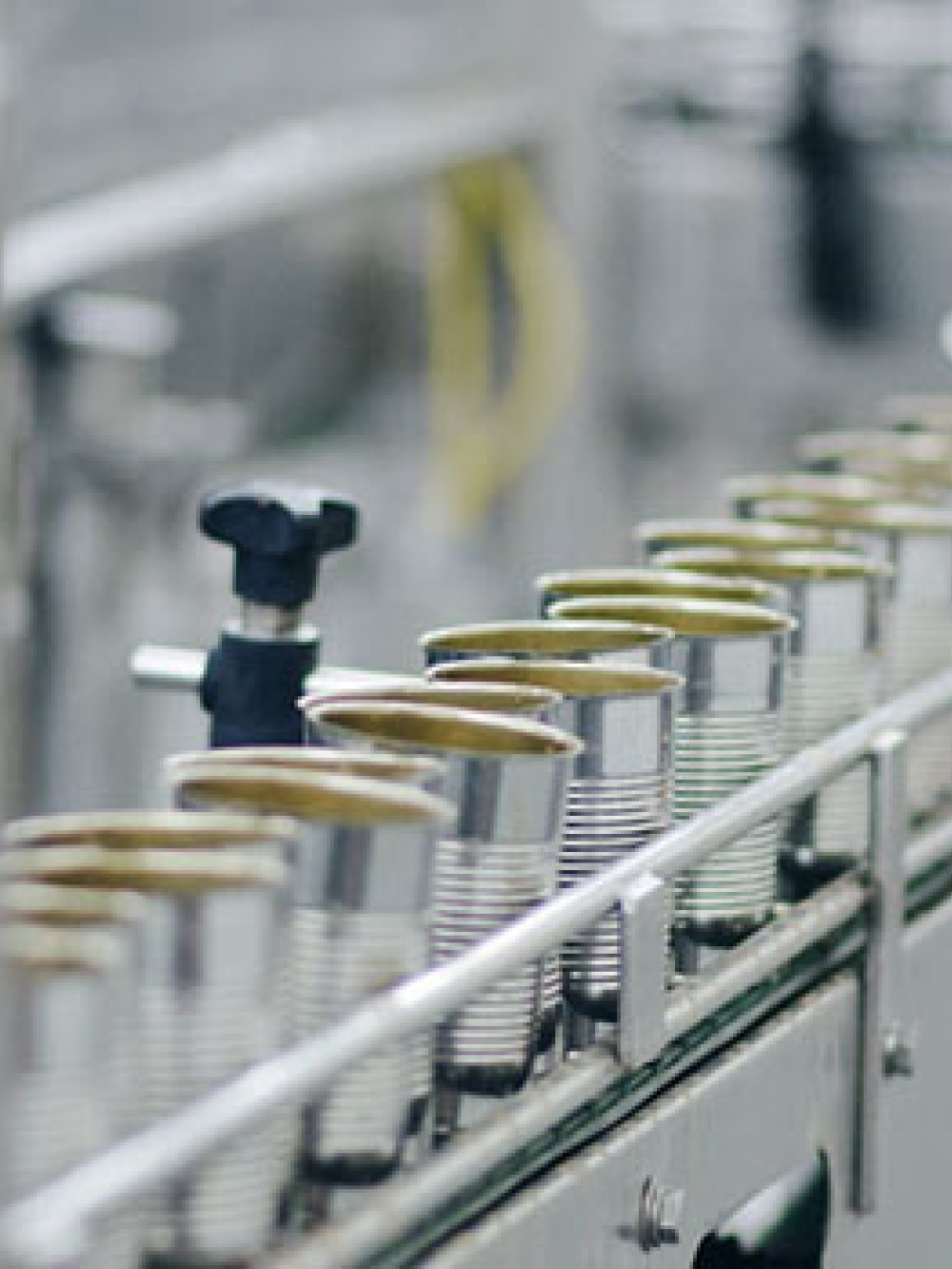 Ligne de production industrielle montrant une rangée de boîtes métalliques sur un convoyeur dans une usine alimentaire.
