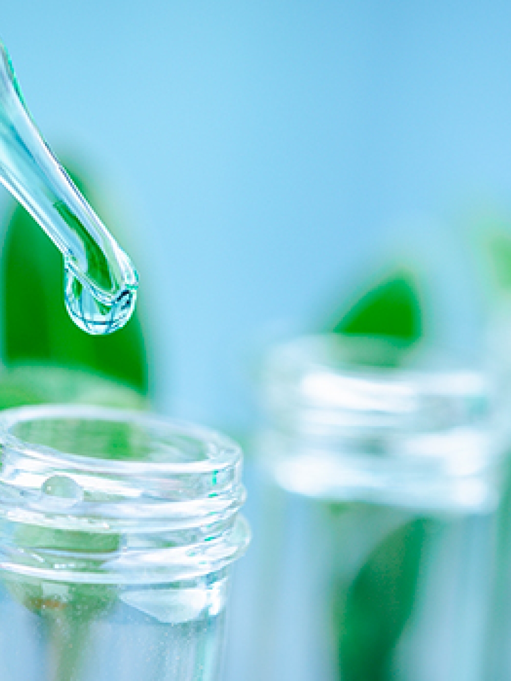 Pipette déposant une goutte de liquide dans un flacon en verre, avec des feuilles vertes à l’intérieur des flacons.