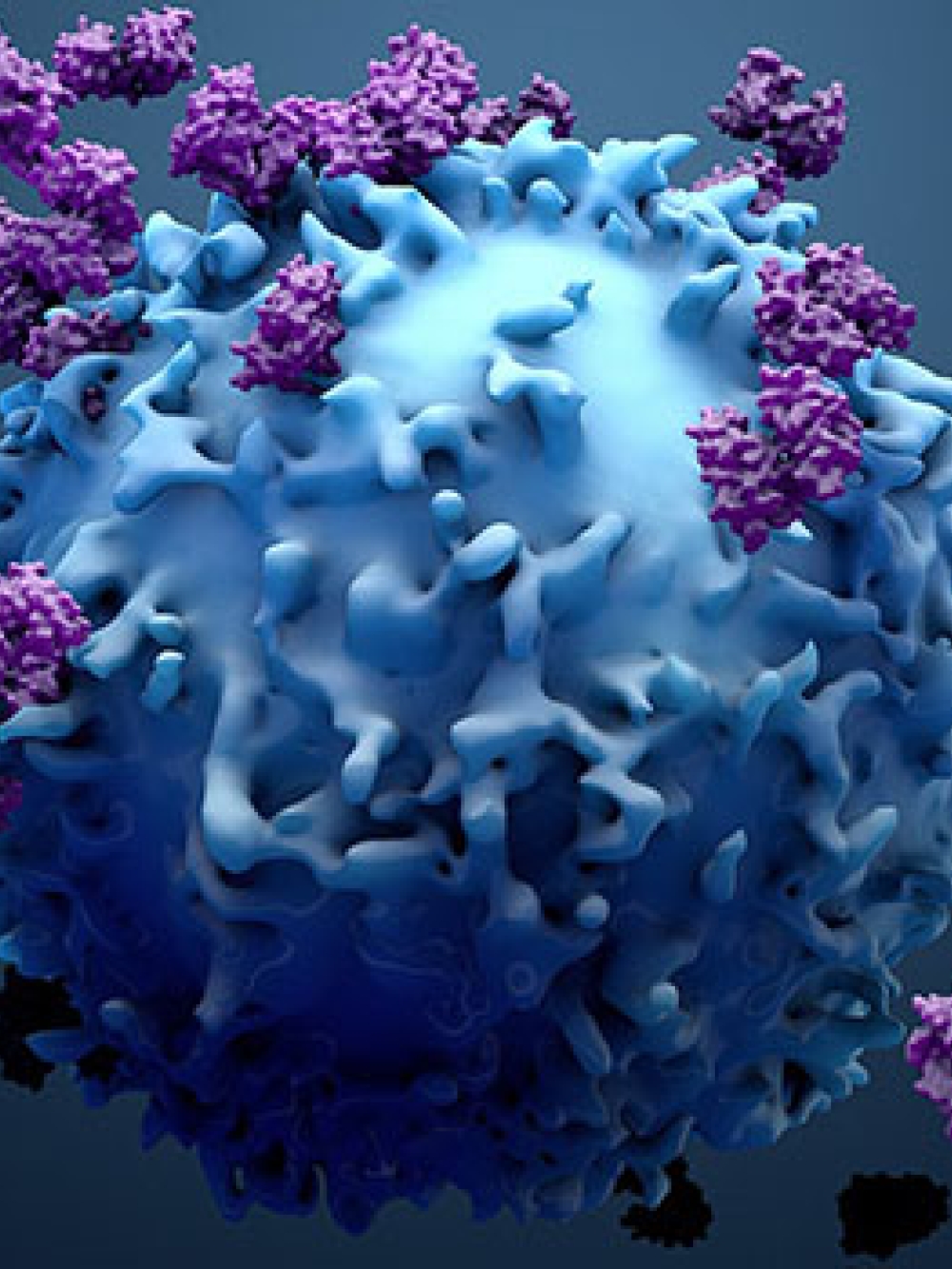 Illustration 3D d’une cellule bleue avec des structures moléculaires violettes et noires fixées à sa surface.