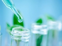 Pipette déposant une goutte de liquide dans un flacon en verre, avec des feuilles vertes à l’intérieur des flacons.