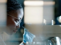 Personne en laboratoire observant un échantillon au microscope, avec des éléments d’équipement scientifique.